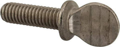 Value Collection - 5/16-18 Oval Shoulder Grade 18-8 Stainless Steel Thumb Screw - 1" OAL, 0.78" Head Height - Industrial Tool & Supply
