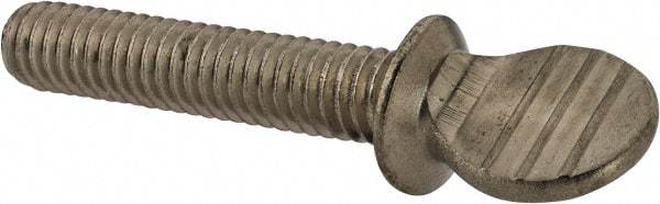 Value Collection - 5/16-18 Oval Shoulder Grade 18-8 Stainless Steel Thumb Screw - 1-1/2" OAL, 0.78" Head Height - Industrial Tool & Supply