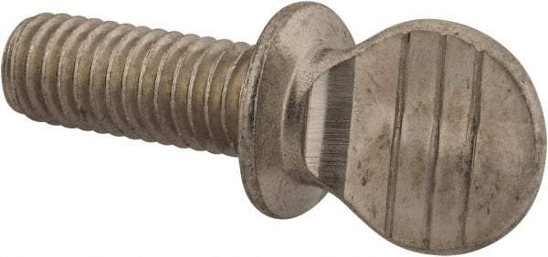 Value Collection - 3/8-16 Oval Shoulder Grade 18-8 Stainless Steel Thumb Screw - 1" OAL, 0.95" Head Height - Industrial Tool & Supply