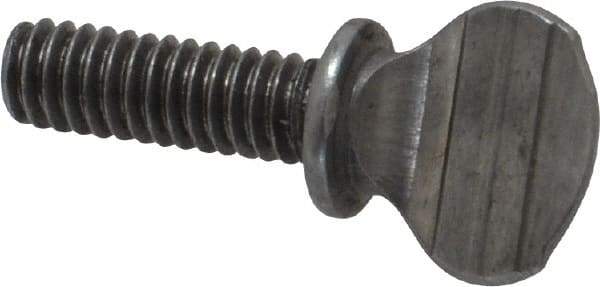 Value Collection - #8-32 Oval Shoulder Grade 2 Steel Thumb Screw - 1/2" OAL, 0.39" Head Height, Uncoated - Industrial Tool & Supply