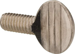Value Collection - 3/8-16 Oval Shoulderless Grade 18-8 Stainless Steel Thumb Screw - 3/4" OAL, 0.95" Head Height - Industrial Tool & Supply