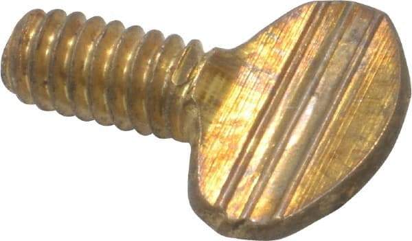 Value Collection - 1/4-20 Oval Shoulderless Brass Thumb Screw - 1/2" OAL, 0.64" Head Height - Industrial Tool & Supply