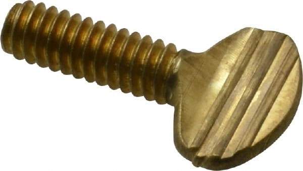 Value Collection - 1/4-20 Oval Shoulderless Brass Thumb Screw - 3/4" OAL, 0.64" Head Height - Industrial Tool & Supply