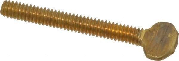 Value Collection - 1/4-20 Oval Shoulderless Brass Thumb Screw - 2" OAL, 0.64" Head Height - Industrial Tool & Supply