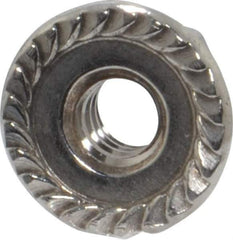 Value Collection - #10-24, 1/2" Flange Diam, Serrated Flange Nut - Grade 18-8 Stainless Steel, 7/32" Flange Height - Industrial Tool & Supply