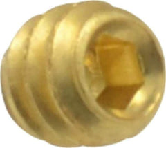 Value Collection - #6-32 UNC, 1/8" OAL, Cup Point Set Screw - Brass, 1/16" Key - Industrial Tool & Supply