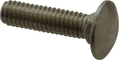 Value Collection - 5/16-18 UNC 1-1/4" Length Under Head, Standard Square Neck, Carriage Bolt - 18-8 Stainless Steel, Uncoated - Industrial Tool & Supply