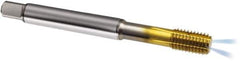 Guhring - M8x1.25 Metric 6HX D9/D10 Thread Limit Bottoming Thread Forming Tap - Powdered Metal High Speed Steel, TiN Finish, 90mm OAL, Series 323 - Industrial Tool & Supply