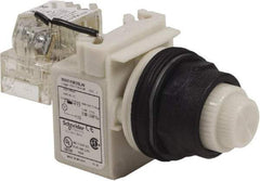 Schneider Electric - 120 V White Lens LED Press-to-Test Indicating Light - Round Lens, Screw Clamp Connector, Corrosion Resistant, Dust Resistant, Oil Resistant - Industrial Tool & Supply