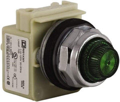 Schneider Electric - 120 VAC Green Lens Indicating Light - Screw Clamp Connector - Industrial Tool & Supply