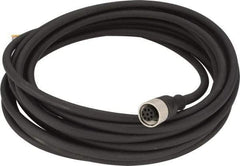 Telemecanique Sensors - 2 Amp, M12 8 Pin Female Straight Cordset Sensor and Receptacle - 250 VAC, 300 VDC, 5m Cable Length, IP67 Ingress Rating - Industrial Tool & Supply