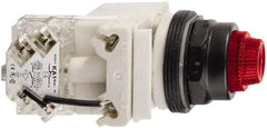 Schneider Electric - 24 V Red Lens LED Press-to-Test Indicating Light - Octagonal Lens, Screw Clamp Connector, Vibration Resistant - Industrial Tool & Supply