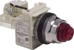 Schneider Electric - 120 VAC Red Lens LED Pilot Light - Round Lens, Screw Clamp Connector - Industrial Tool & Supply