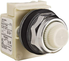 Schneider Electric - 28 V White Lens Indicating Light - Screw Clamp Connector - Industrial Tool & Supply