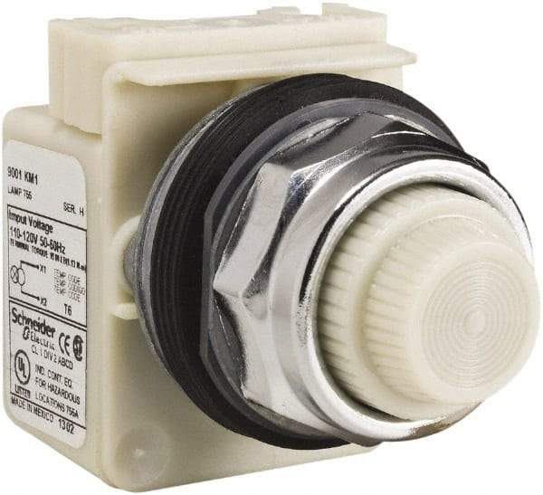 Schneider Electric - 120 VAC White Lens Indicating Light - Screw Clamp Connector - Industrial Tool & Supply