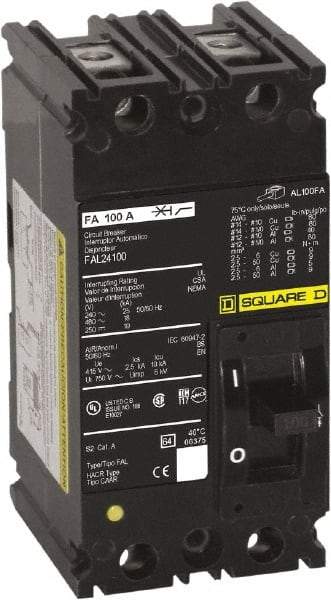 Square D - 20 Amp, 250 VDC, 480 VAC, 2 Pole, Panel Mount Molded Case Circuit Breaker - Thermal Magnetic Trip, 18 kA at 480/600 VAC Breaking Capacity, 12-4 (Aluminum), 14-4 (Copper) AWG, 4.13 Inch Deep x 6 Inch High x 3 Inch Long - Industrial Tool & Supply