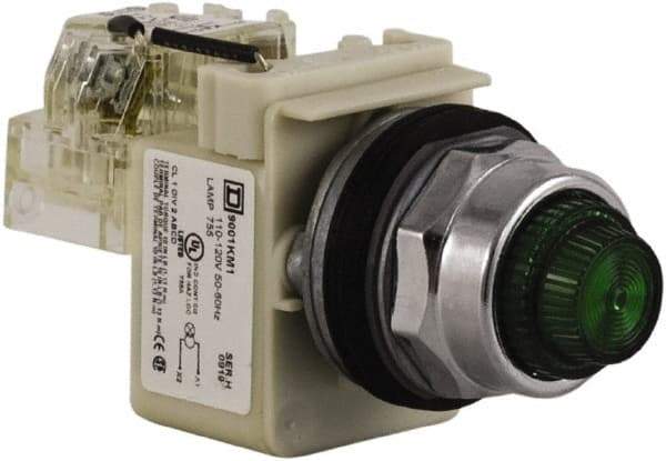 Schneider Electric - 120 VAC Green Lens Indicating Light - Screw Clamp Connector - Industrial Tool & Supply