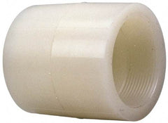 NIBCO - 3/4" PVDF Plastic Pipe Adapter Coupling - Schedule 80, S x FIPT End Connections - Industrial Tool & Supply