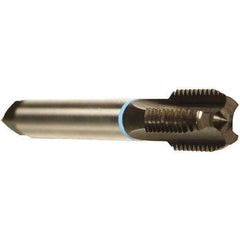 Emuge - M12x1.50 Metric Fine 6HX 3 Flute Nitride Finish Cobalt Straight Flute Machine Tap - Bottoming, Right Hand Thread, 3-3/8" OAL, 0.866" Thread Length, Oversize - Exact Industrial Supply
