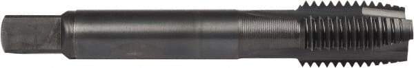 DORMER - M10x1.00 Metric Fine, 3 Flute, Oxide Finish, Powdered Metal Spiral Point Tap - Plug Chamfer, Right Hand Thread, 2-15/16" OAL, 0.602" Thread Length, 0.381" Shank Diam, 6H Class of Fit, Series E016 - Exact Industrial Supply