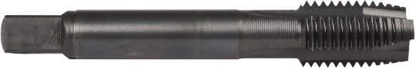 DORMER - M6x1.00 Metric Coarse, 3 Flute, Oxide Finish, Powdered Metal Spiral Point Tap - Plug Chamfer, Right Hand Thread, 2-1/2" OAL, 0.5075" Thread Length, 0.255" Shank Diam, 6H Class of Fit, Series E006 - Exact Industrial Supply