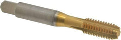 Balax - 3/8-16 UNC 2B 4 Flute TiN Finish Cobalt Straight Flute Machine Tap - Bottoming, Right Hand Thread, 2-15/16" OAL, 0.98" Thread Length, H5 Limit, Oversize - Exact Industrial Supply