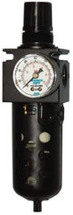 SandPIPER - 1/2" Pump, Filter/Regulator - For Use with Diaphragm Pumps - Industrial Tool & Supply