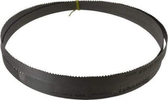 Starrett - 6 to 10 TPI, 8' 2-1/2" Long x 3/4" Wide x 0.035" Thick, Welded Band Saw Blade - Bi-Metal, Toothed Edge, Raker Tooth Set, Contour Cutting - Industrial Tool & Supply