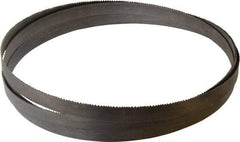 Starrett - 8 to 12 TPI, 14' 6" Long x 3/4" Wide x 0.035" Thick, Welded Band Saw Blade - Bi-Metal, Toothed Edge, Raker Tooth Set, Contour Cutting - Industrial Tool & Supply