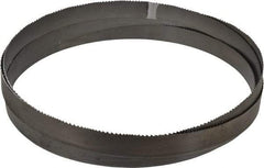 Starrett - 6 to 10 TPI, 15' 6" Long x 1" Wide x 0.035" Thick, Welded Band Saw Blade - Bi-Metal, Toothed Edge, Raker Tooth Set, Contour Cutting - Industrial Tool & Supply