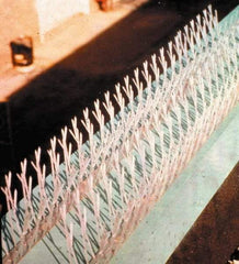 Bird-X - Plastic Bird Spikes - 4-1/2 Inch High x 2-1/4 Inch Wide x 50 Ft. Long x 0.5 Inch Thick - Industrial Tool & Supply