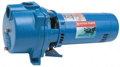 Goulds Pumps - 230 Volt, 13.9 Amp, 1 Phase, 2 HP, Self Priming Centrifugal Pump - 48J Frame, 1-1/2 Inch Inlet, 87 Max GPM, ODP Motor, Cast Iron Housing, Noryl Impeller, 106 Ft. Shut Off, Carbon Ceramic Mechanical Seal - Industrial Tool & Supply