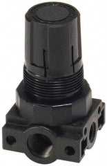 Parker - 3/8 NPT Port, Plastic Miniature Regulator - 0 to 60 psi Range, 150 Max psi Supply Pressure, 1/4" Gauge Port Thread, 2.06" Wide x 3.43" High - Industrial Tool & Supply