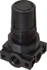 Parker - 1/4 NPT Port, Plastic Miniature Regulator - 0 to 25 psi Range, 150 Max psi Supply Pressure, 1/8" Gauge Port Thread, 1.6" Wide x 3.1" High - Industrial Tool & Supply
