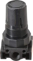 Parker - 1/4 NPT Port, Plastic Miniature Regulator - 0 to 125 psi Range, 150 Max psi Supply Pressure, 1/8" Gauge Port Thread, 1.6" Wide x 3.1" High - Industrial Tool & Supply