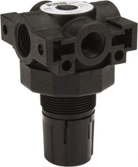 Parker - 3/8 NPT Port, Plastic Miniature Regulator - 0 to 125 psi Range, 150 Max psi Supply Pressure, 1/4" Gauge Port Thread, 2.06" Wide x 3.43" High - Industrial Tool & Supply