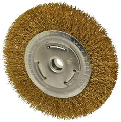 Value Collection - 6" OD, 5/8" Arbor Hole, Crimped Brass Wheel Brush - 1" Face Width, 1-1/8" Trim Length, 0.02" Filament Diam, 6,000 RPM - Industrial Tool & Supply
