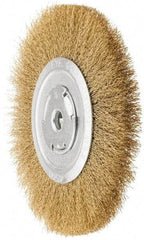 Value Collection - 8" OD, 1/4" Arbor Hole, Crimped Brass Wheel Brush - 1/2" Face Width, 1-3/4" Trim Length, 0.012" Filament Diam, 4,500 RPM - Industrial Tool & Supply