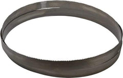 Starrett - 5 to 8 TPI, 12' 6" Long x 1-1/4" Wide x 0.042" Thick, Welded Band Saw Blade - Bi-Metal, Toothed Edge, Modified Tooth Set, Contour Cutting - Industrial Tool & Supply