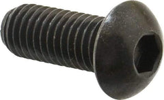 Holo-Krome - 1/2-13 UNC Hex Socket Drive, Button Screw - Alloy Steel, Black Oxide Finish, Fully Threaded, 1-1/4" Length Under Head - Industrial Tool & Supply