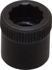 Holo-Krome - 5/16-24" Thread Uncoated Steel Allen Nut - 5/16" Diam, 5/16" Hex Key - Industrial Tool & Supply