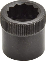 Holo-Krome - 3/4-10" Thread Uncoated Steel Allen Nut - 3/4" Diam, 3/4" Hex Key - Industrial Tool & Supply