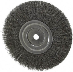 Weiler - 8" OD, 5/8" Arbor Hole, Crimped Steel Wheel Brush - 1/2" Face Width, 2-1/16" Trim Length, 0.0118" Filament Diam, 6,000 RPM - Industrial Tool & Supply