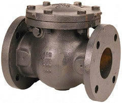 NIBCO - 4" Cast Iron Check Valve - Flanged, 200 WOG - Industrial Tool & Supply