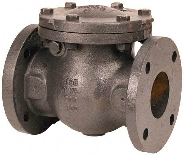 NIBCO - 2" Cast Iron Check Valve - Flanged, 200 WOG - Industrial Tool & Supply