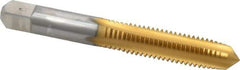 Hertel - M10x1.50 Metric Coarse 6H 4 Flute Bright Finish High Speed Steel Straight Flute Standard Hand Tap - Plug, Right Hand Thread, 2-15/16" OAL, D6 Limit - Exact Industrial Supply