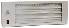 TPI - 22-3/4" Long, 580 BTU Radiant Heat Panel - 120 Volts, 170 Watts - Industrial Tool & Supply