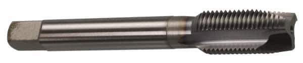 OSG - 1/4-28 UNF, 3 Flute, TiCN Finish, Powdered Metal Spiral Point Tap - Plug Chamfer, Right Hand Thread, 2-1/2" OAL, 1" Thread Length, 0.255" Shank Diam, Series 312 - Exact Industrial Supply