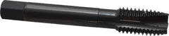 OSG - 9/16-12 UNC, 3 Flute, Oxide Finish, Vanadium High Speed Steel Spiral Point Tap - Plug Chamfer, Right Hand Thread, 3-19/32" OAL, 1-21/32" Thread Length, 0.429" Shank Diam, Series 280 - Exact Industrial Supply
