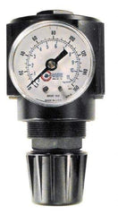 Coilhose Pneumatics - 1/2 NPT Port, 120 CFM, Cast Aluminum Standard Regulator - 0 to 125 psi Range, 250 Max psi Supply Pressure, 1/4" Gauge Port Thread, 2-3/4" Wide x 5-1/2" High - Industrial Tool & Supply